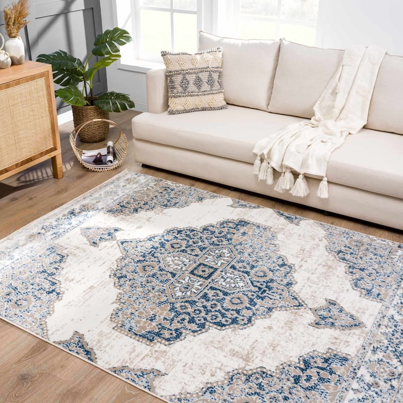 Monaco Traditional Oriental Medallion Distressed Area Rug.