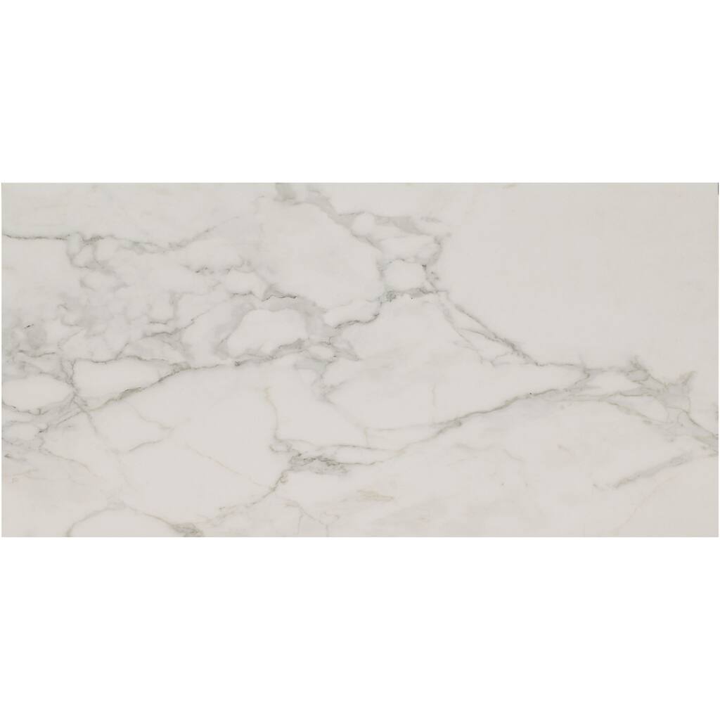 Ackland AKNPTPAL12X24P-CA Palazza - 12" x 24" Porcelain Solid Floor