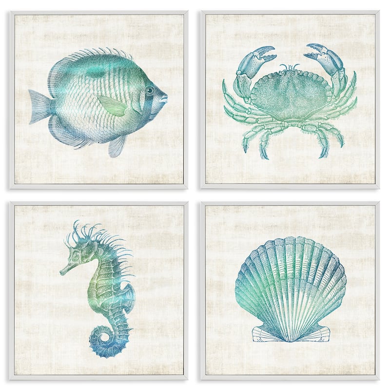 Stupell Aquatic Sea Life Impressions Framed Giclee Art Design By Susan Arnot (Set of 4) - 17 x 17 - White