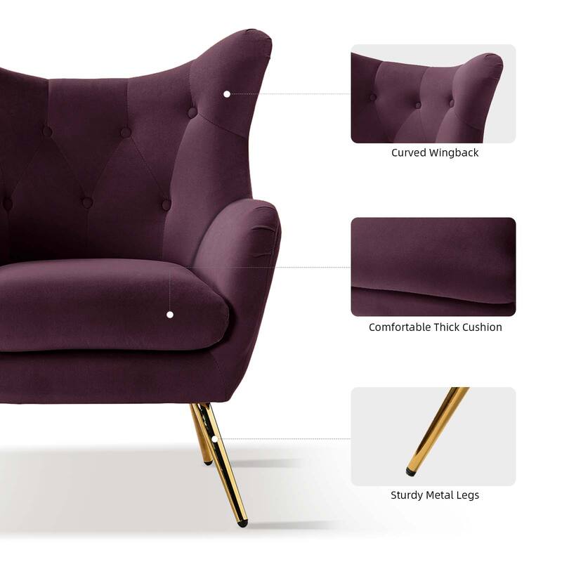 Eusebio Modern Velvet Accent Chair with Tufted Wingback for Living Room Set of 2 by HULALA HOME