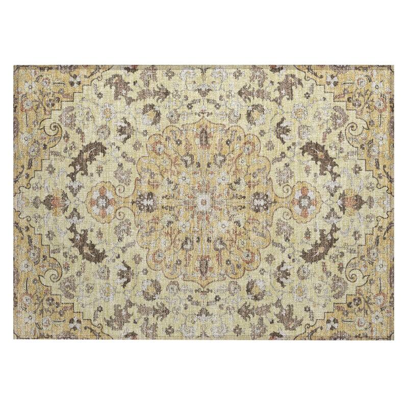Machine Washable Indoor/ Outdoor Traditional Indore Chantille Rug