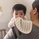 preview thumbnail 13 of 11, Crane Baby Organic Cotton 3-pc. Bunny Burp Cloth Set