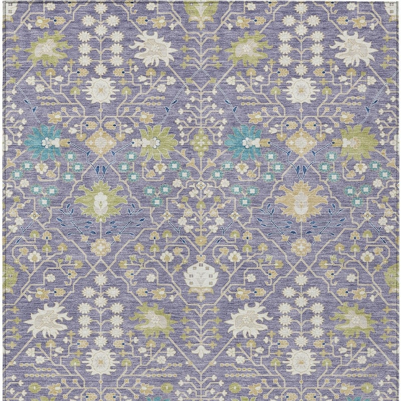 HomeRoots Oriental Traditional Rectangle Outdoor Rug