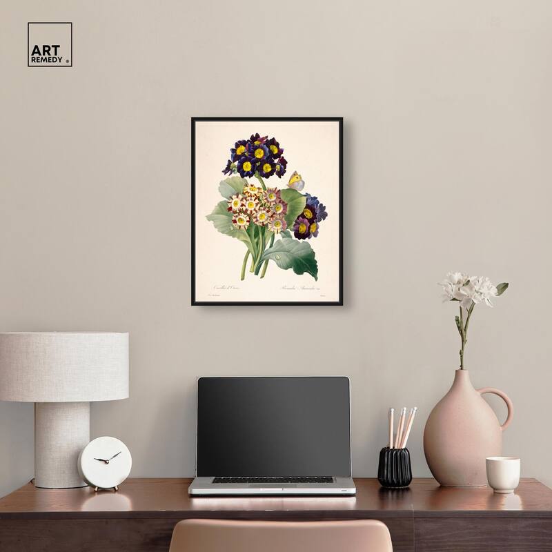 Auricula Varieties Canvas by Art Remedy