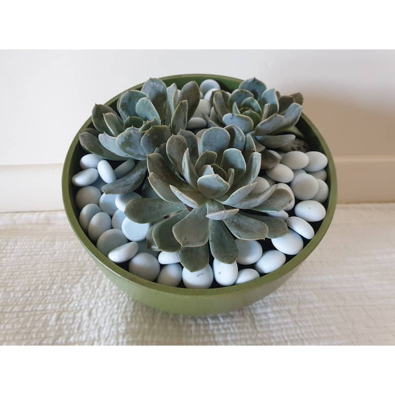 7" Sage Green Orbital Bamboo Planter