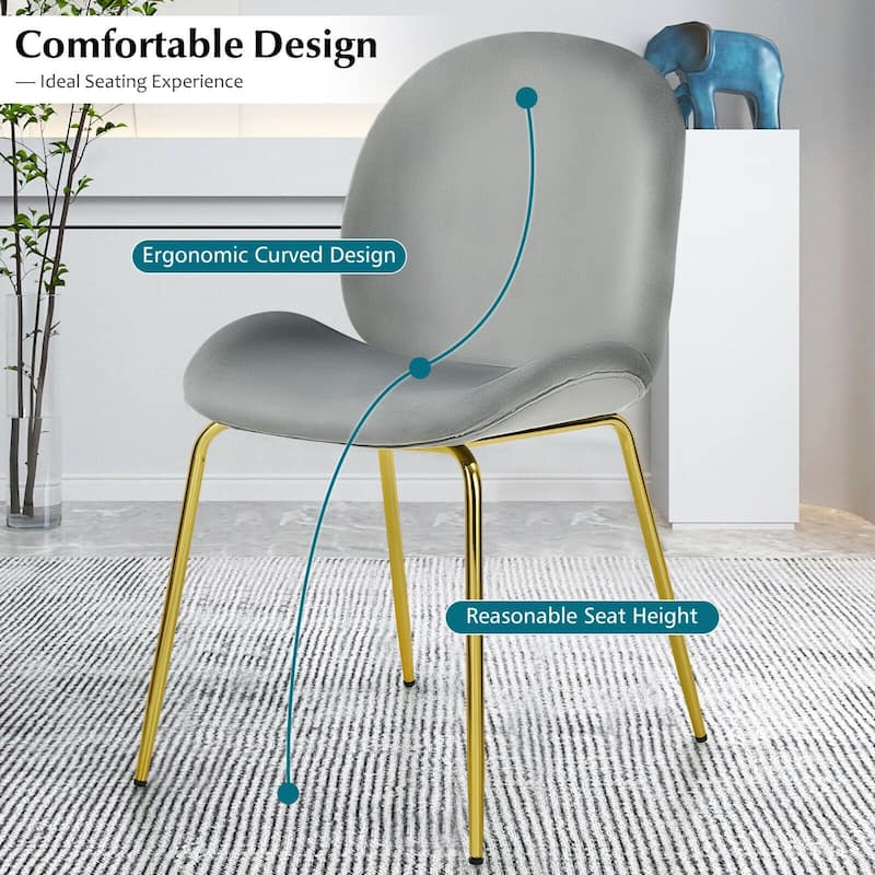 Set of 2 Velvet Accent Chairs with Gold Metal Legs - 19" x 21.5" x 34" (L x W x H)