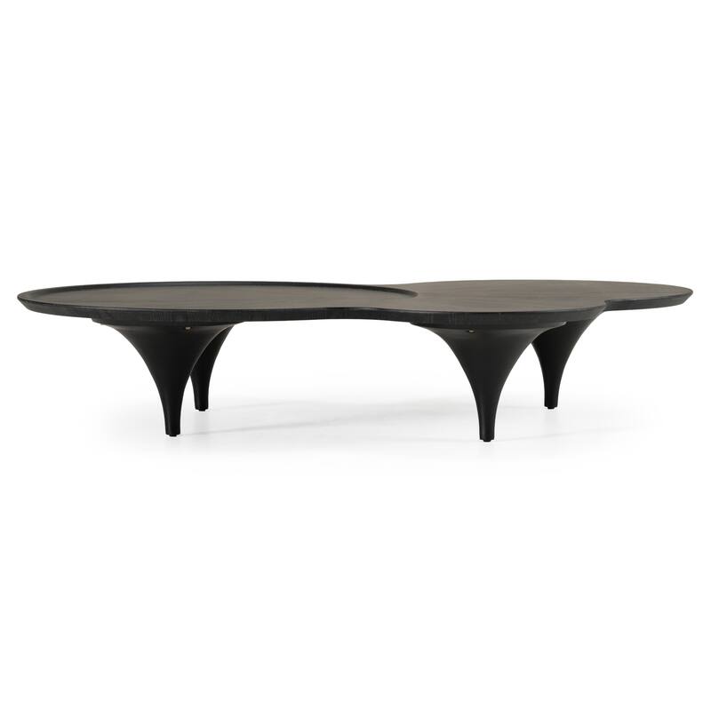 Modrest Beulah Modern Free Form Black Ash Coffee Table