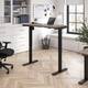 Option Modern Hickory
