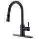 Option Oil Rubbed Bronze UF14205