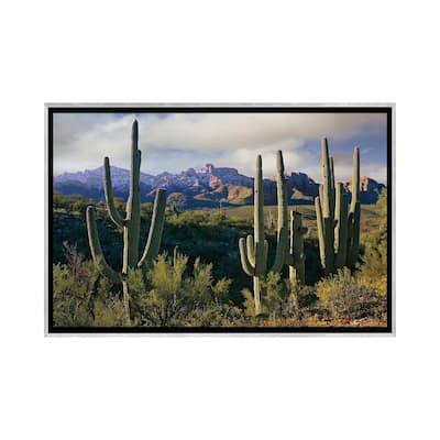 iCanvas "Saguaro Cacti And Santa Catalina Mountains, Arizona" by Tim Fitzharris Framed