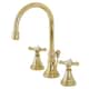 Option Polished Brass