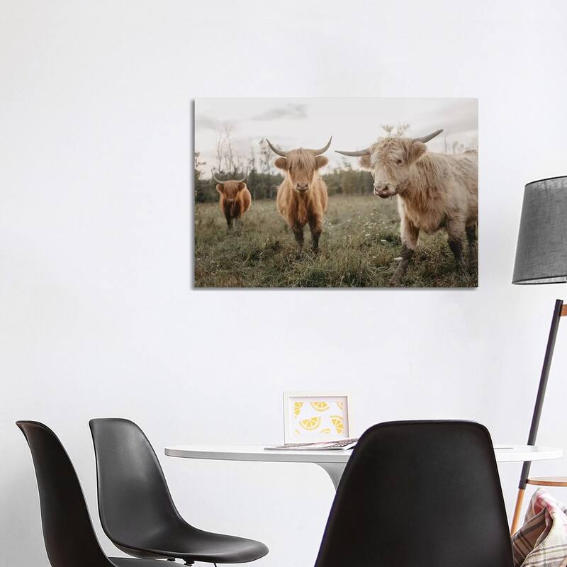 iCanvas "Cows In The Field At Sunrise" by Chelsea Victoria Canvas Print - 26x40x1.5