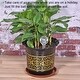 preview thumbnail 5 of 3, Self-Watering Bulb 50mm Dia. PVC Automatic Plants Watering Globe Clear
