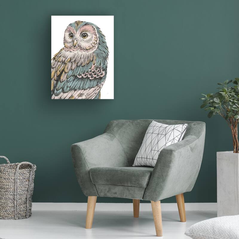 Daphne Brissonnet 'Beautiful Owls I Pastel' Canvas Art