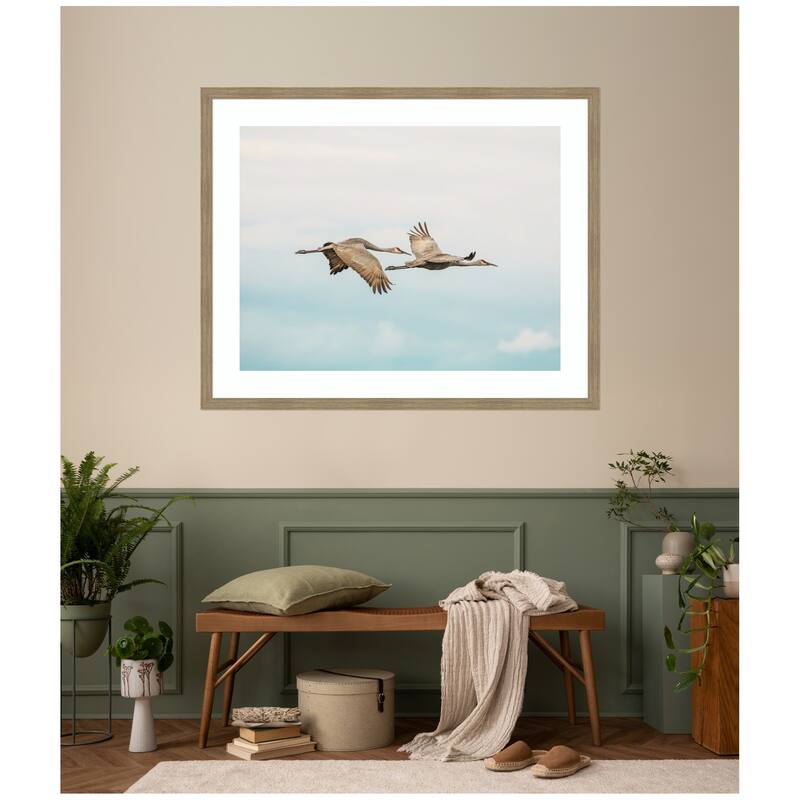Kate and Laurel Cranes Flying by Emiko and Mark Franzen F2 Images Framed Wall Art Print