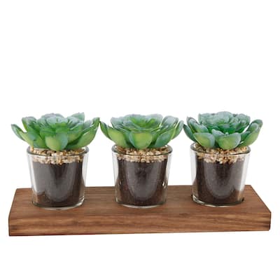 10" Set of 3 Shot Glass Artificial Plant Succulent on Wood Tray - ONE-SIZE