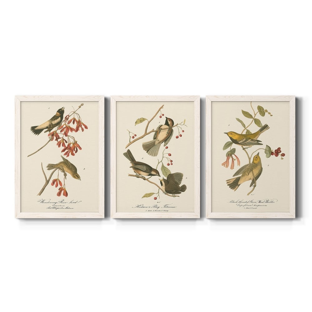 Wandering Rice Bird-Premium Framed Canvas - Ready to Hang - Multi-Color