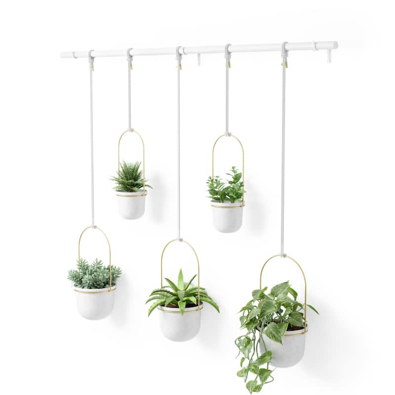 Umbra 1018086 Triflora 7-1/4" Wide Steel Hanging Planters