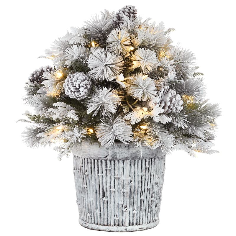 National Tree Company 22 in. Snowy Chiwaw Basin Tree with LED Lights - 1 Foot