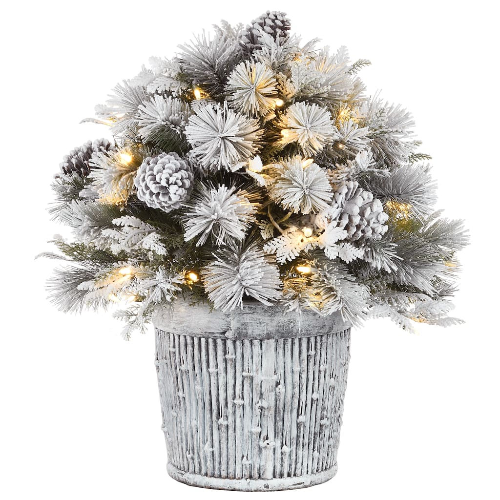 National Tree Company 22 in. Snowy Chiwaw Basin Tree with LED Lights - 1 Foot