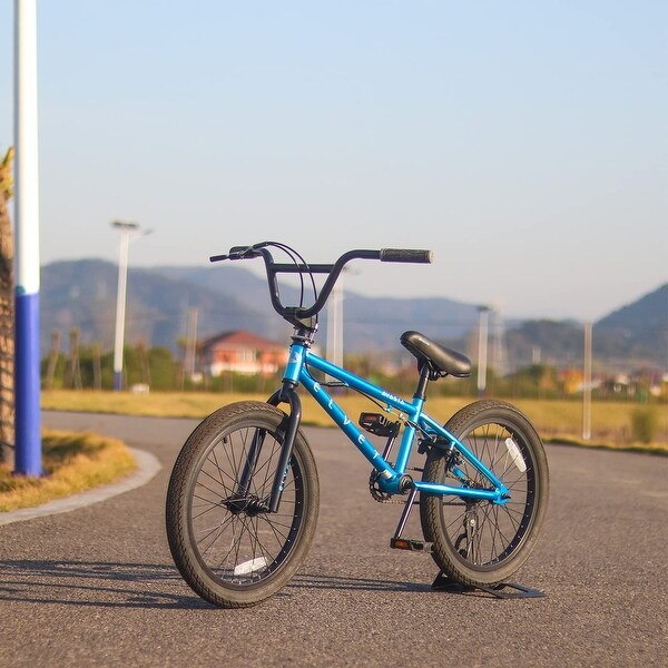 AVASTA 20 Inch Kid Freestyle BMX Bicycle for Beginner Riders, Ages