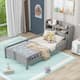Option Antique Gray