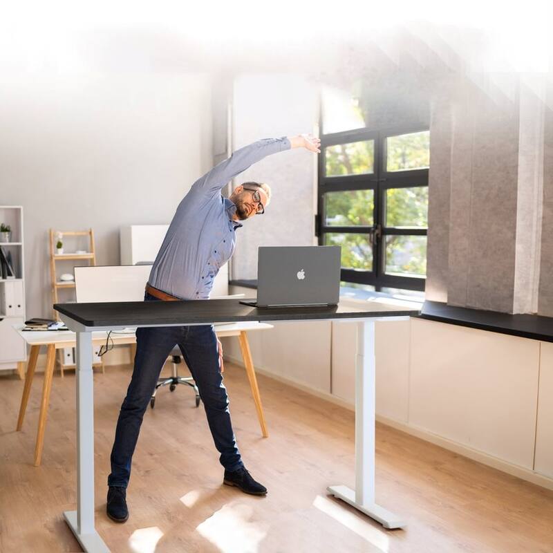 Rise Up Electric Standing Desk Dual Motor 60x30 solid bamboo desktop