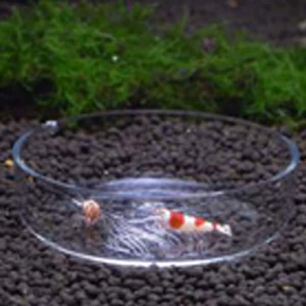 Aquarium feeding dish online