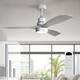 Option Silver and Grey Solid wood Blades/With lights