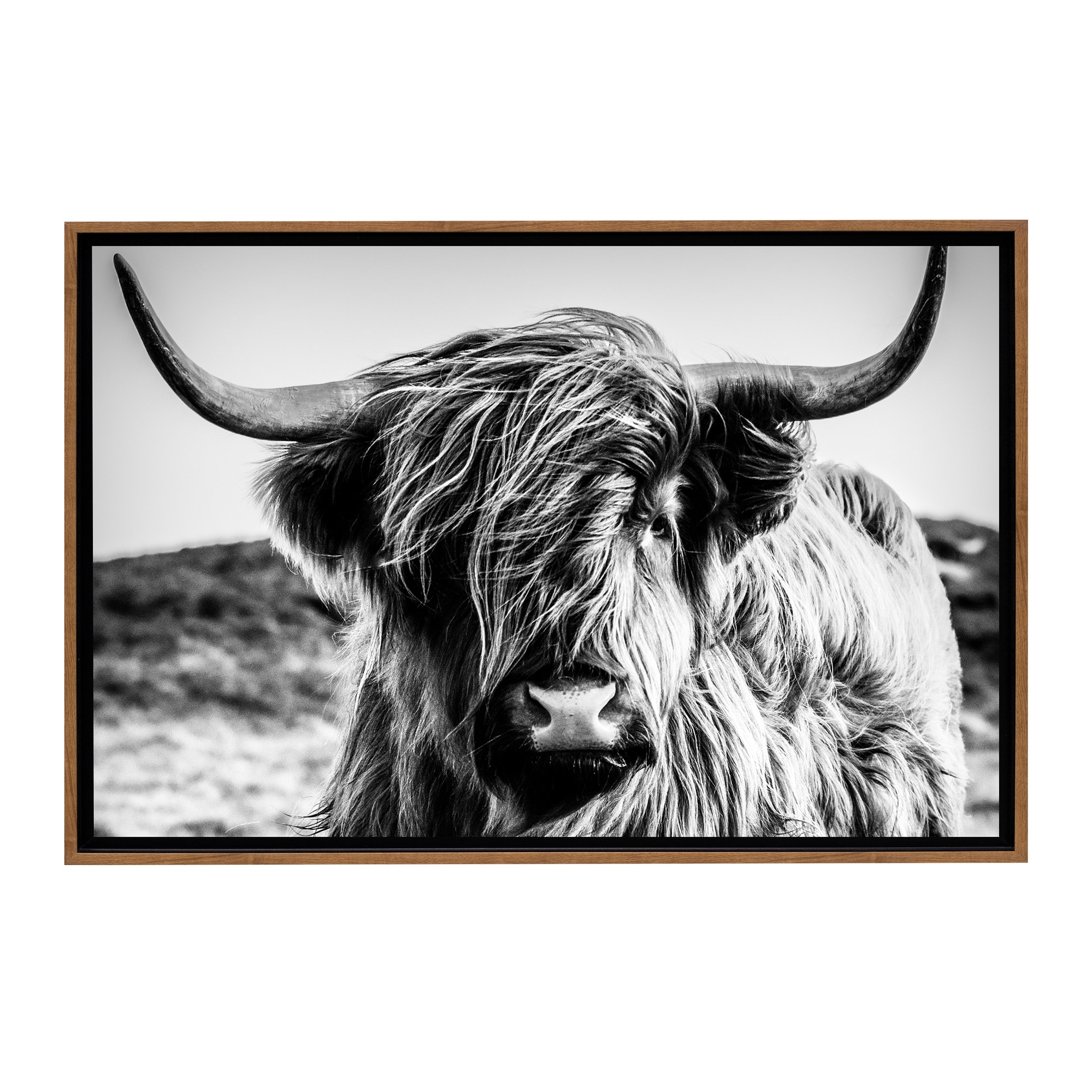 Stratton Home Decor Black and White Highland Cow Framed Canvas Wall Art  Natural Wood Bed Bath  Beyond 37855485