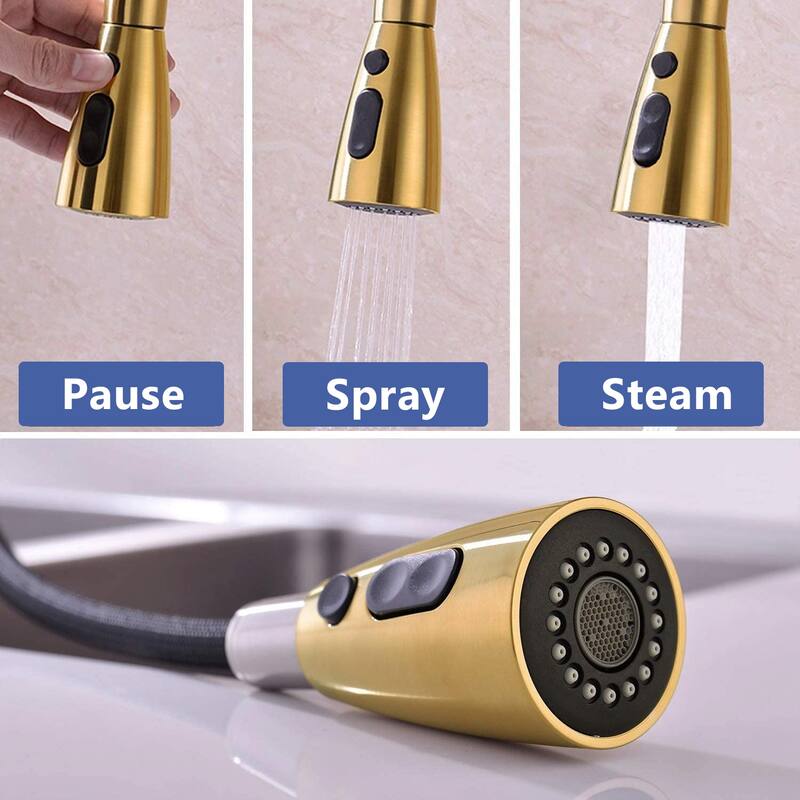 DORNBERG SUS 304 Stainless Steel Kitchen Faucet with Pull Down Sprayer
