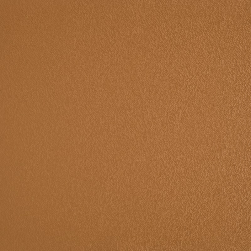 Hayes 28.5" Leather Accent Chair - Black Finish Solid Wood Legs