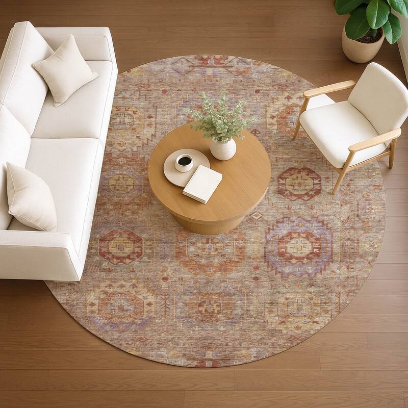 Machine Washable Indoor/ Outdoor Vintage Traditional Chantille Rug