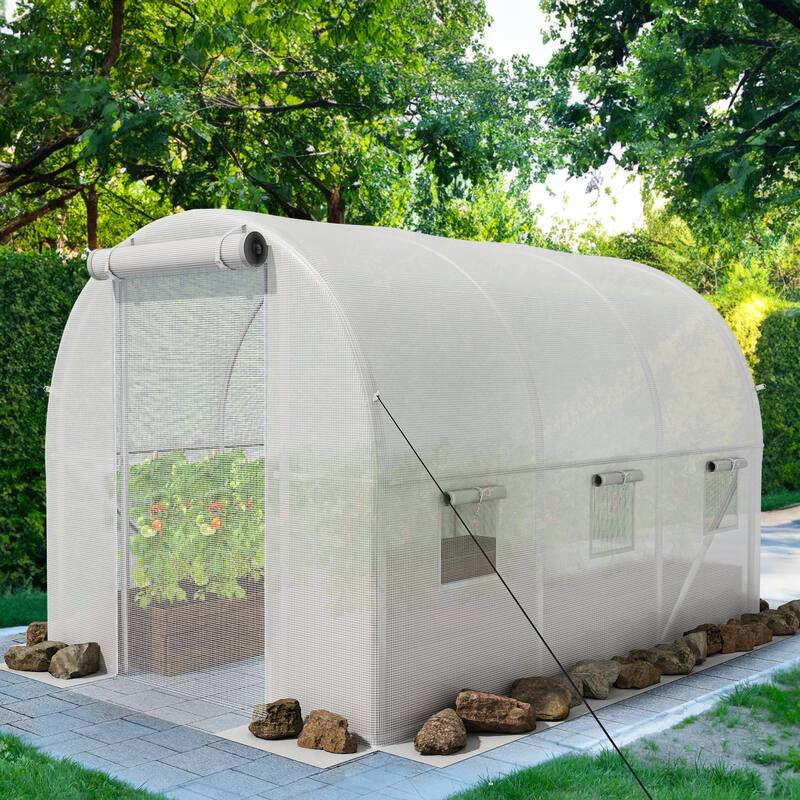 Moasis Greenhouse with Steel Frame, PE Cover - 6.6' X 6.6'