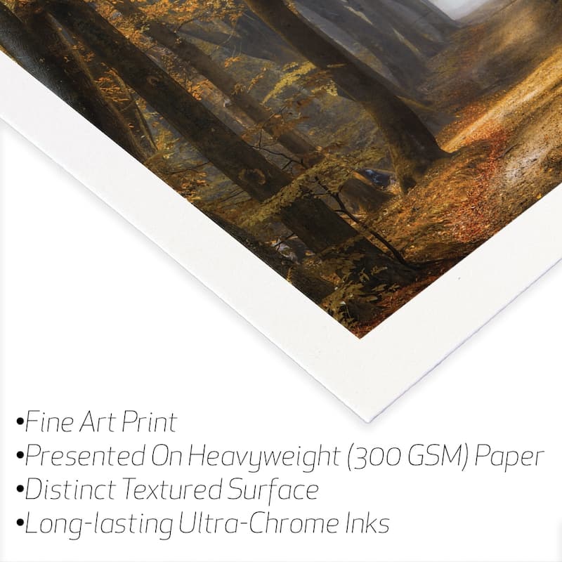 Speuldimensions Fine Art Paper Print by Lars van de Goor - Multi - 24x24