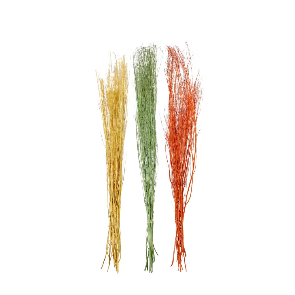 Dried Plant Pigeon pea Natural Foliage - Set of 3 Multi Colored - Roche River Decor - Multi Colored