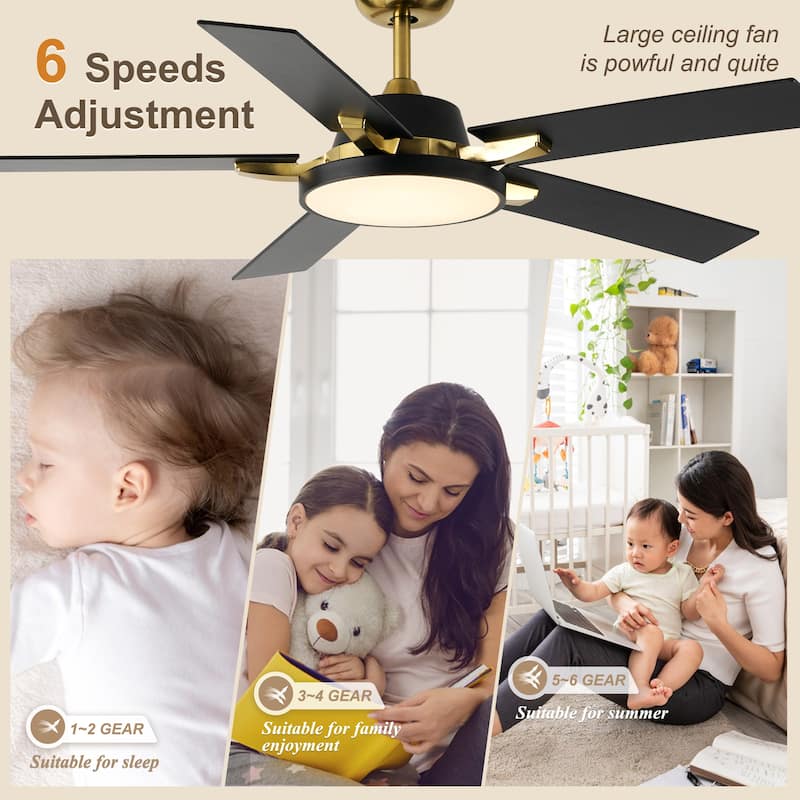 Bella Depot 52" Modern Ceiling Fan with Light and Remote Black 6-Speed Reversible Fan