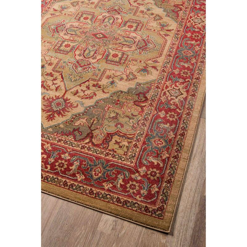 ECARPETGALLERY Machine Woven Lux Traditional Area Rug