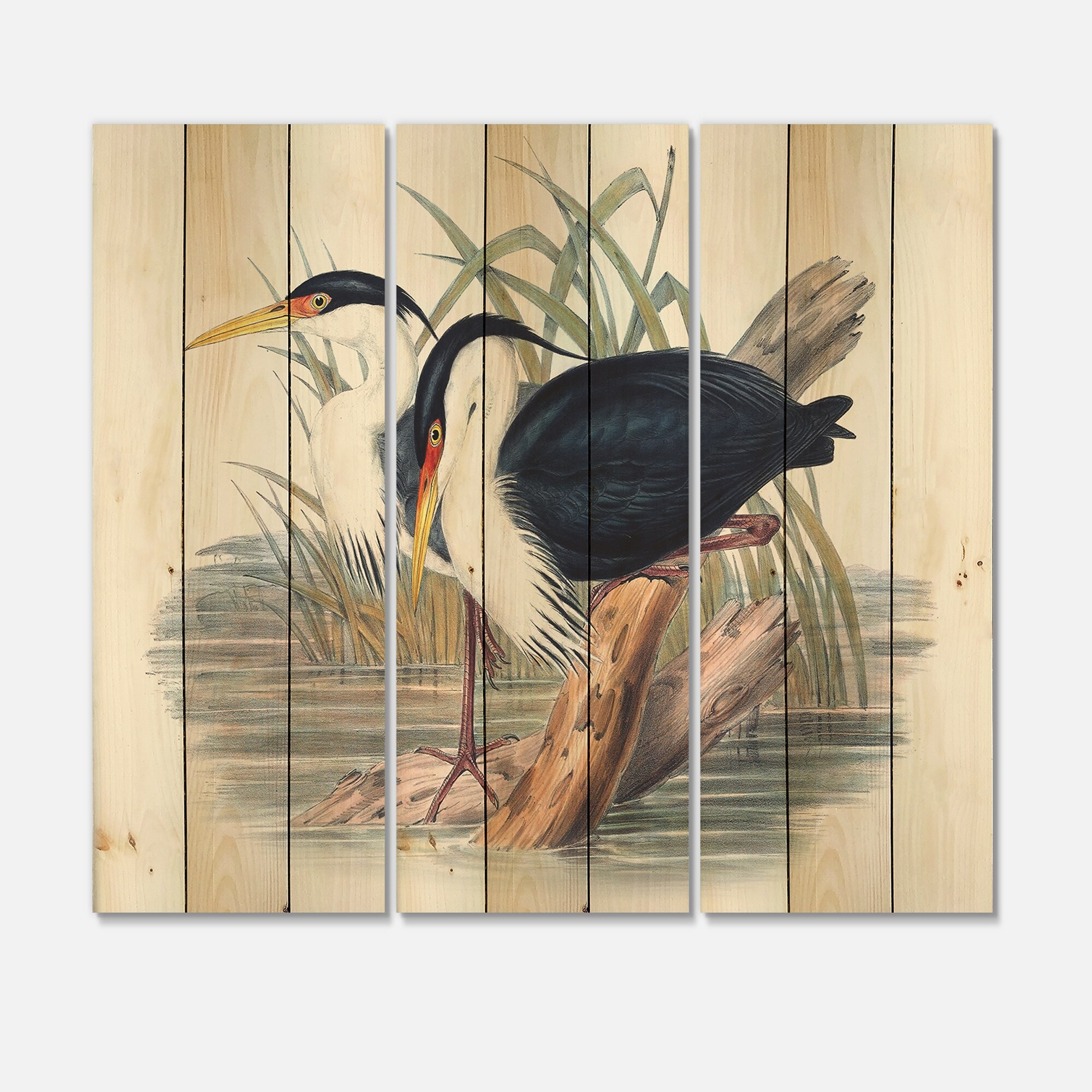 Designart 'Vintage Bird Life II' Traditional Print on-image