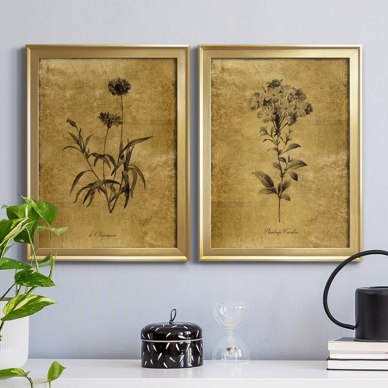Gold Sketch Botanical I Premium Framed Print - Ready to Hang - Multi-Color