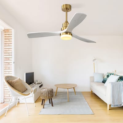 Modern Ceiling Fan Light with Adjustable Lighting and 6-Speed Settings, DC Motor for Bedroom and Lounge Area