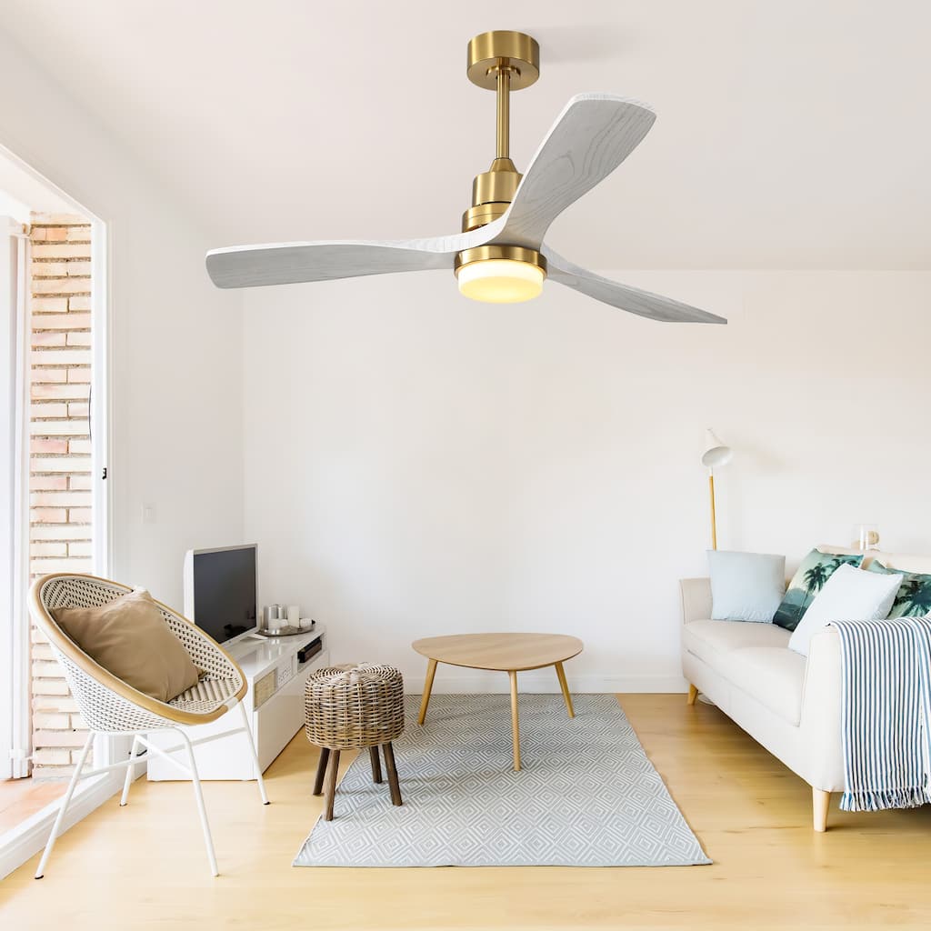 Modern Ceiling Fan Light with Adjustable Lighting and 6-Speed Settings, DC Motor for Bedroom and Lounge Area