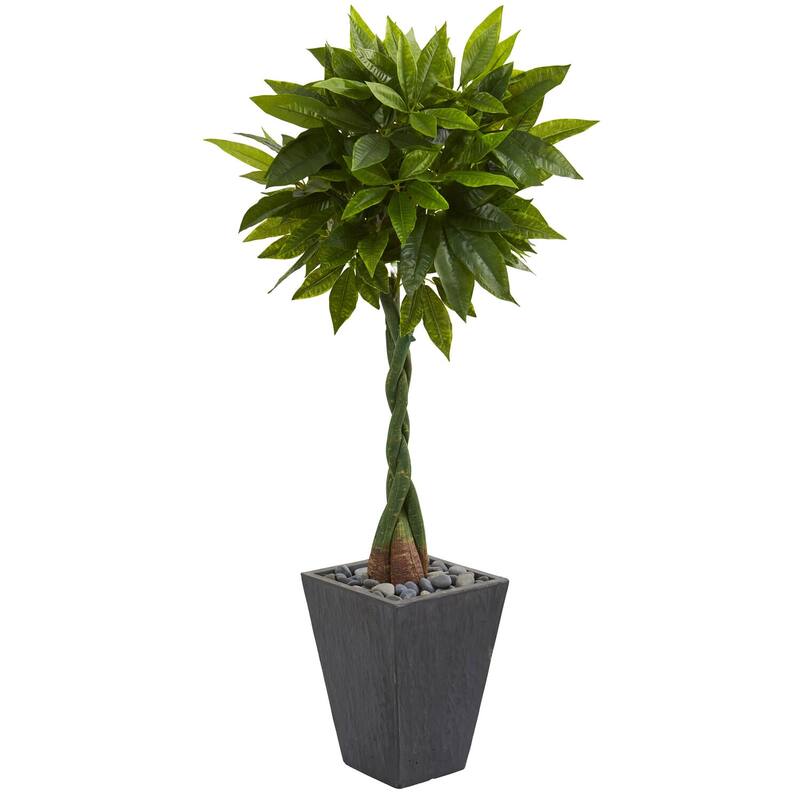 5ft Money Artificial Tree in Slate Planter with Real Touch Lush Green Leaves and Braided Trunk for Office or Home - 51-60 Inches