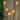 Pepperoni Pizza Indoor Outdoor Patio Light Set - 6' - Green Wire - 10ct - 102"