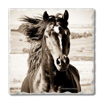 Counterart Absorbent Stone Coasters - Black Beauty - Set of 4 - 4x4x1.212