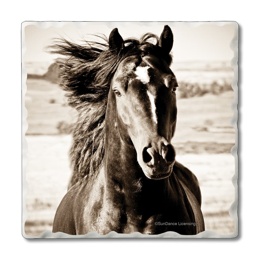 Counterart Absorbent Stone Coasters - Black Beauty - Set of 4 - 4x4x1.212