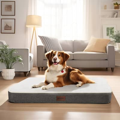 Orthopedic Dog Bed with Washable Cover