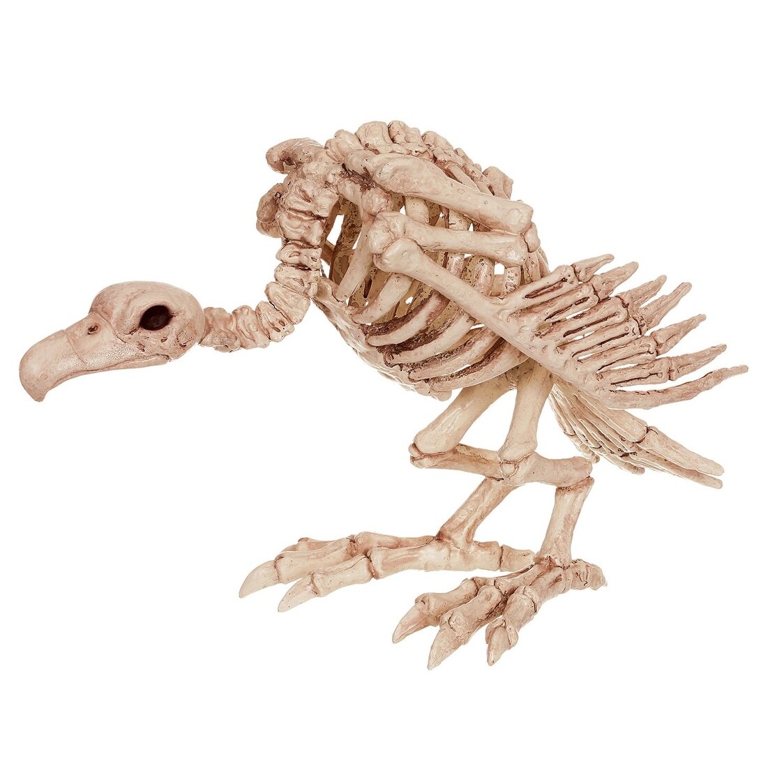 Seasons USA 18144 Halloween Decoration Skeleton Vulture, Ivory ...