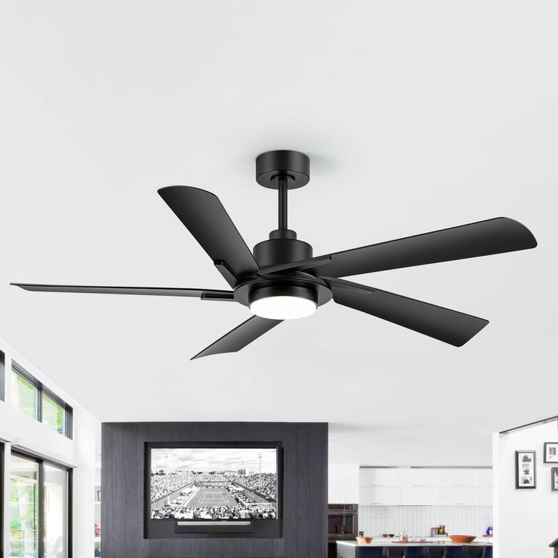 60" Modern Black ABS 5-Blade Propeller Ceiling Fan with Light and Remote