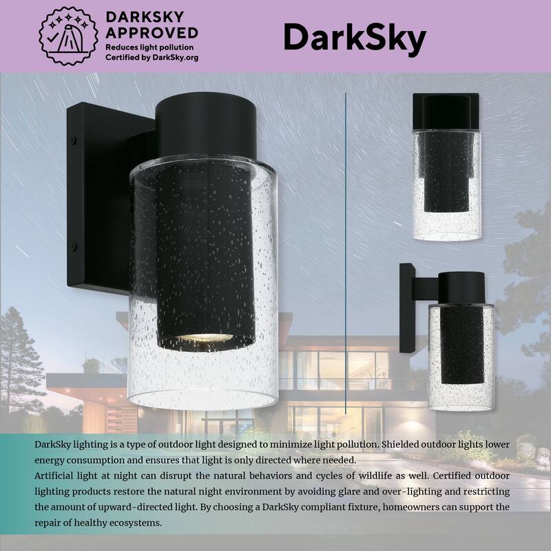 Sawyer 1-Light Matte Black Dark Sky Outdoor Wall Lantern